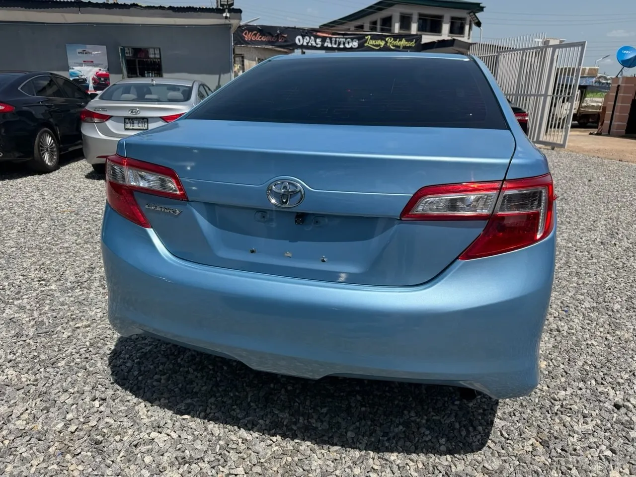 Muscle Sky Blue